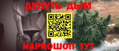 стаф Тула