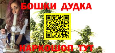 стаф Тула