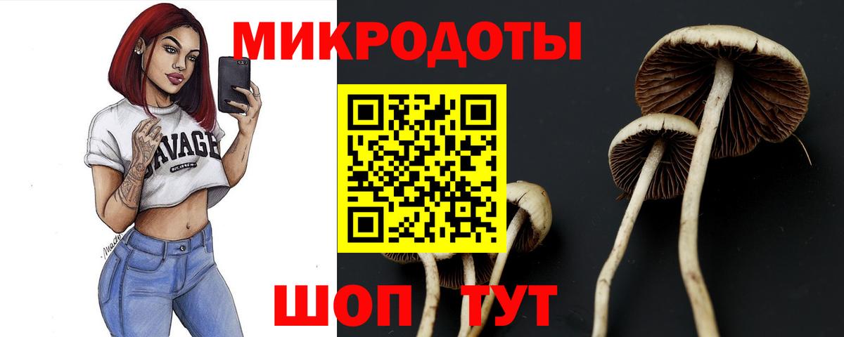 Нарткала  Псилоцибиновые грибы прущие грибы  Вход с VPN 